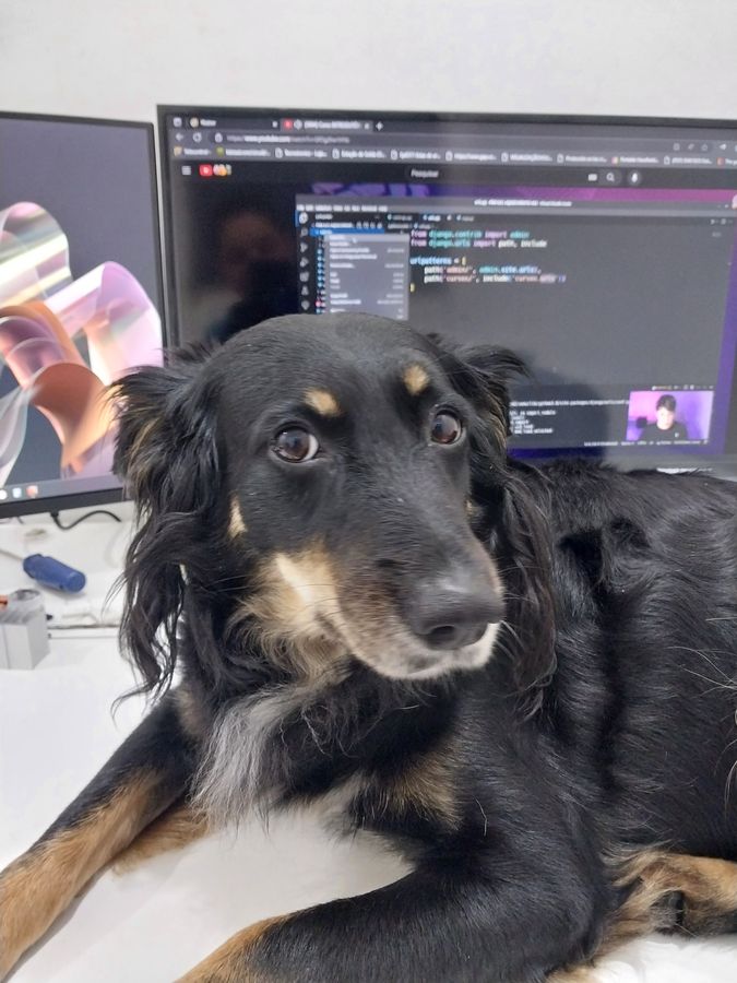 O mascote da Teksys 🐾